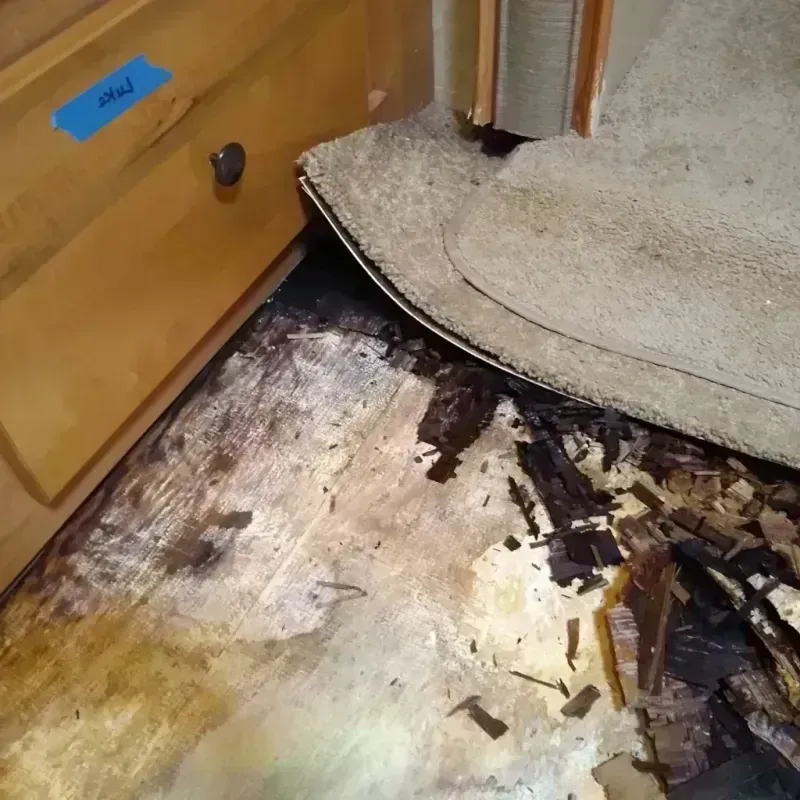 Best Wood Floor Water Damage Service in Vamo, FL